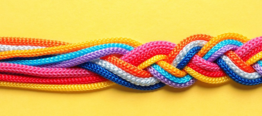 Jetzt Förderung für Projekte mit Umsetzung im Herbst/Winter 2022 beantragen