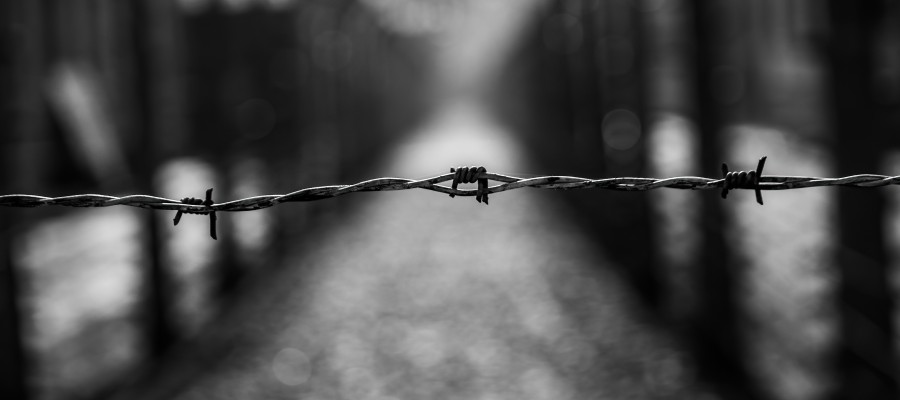 Internationaler Tag des Gedenkens an die Opfer des Holocaust und Nationalsozialismus